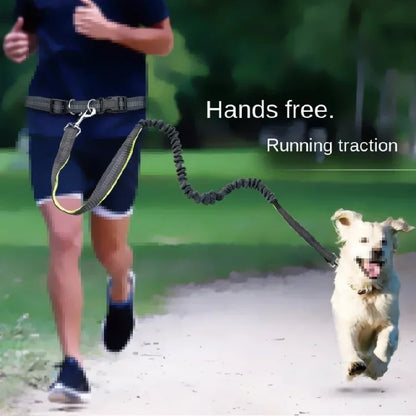 Resor Koppel, promenader, löpning, jogging, justerbart hundkoppel