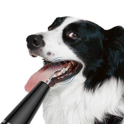 Hundtandstensapparat Ultraljudstandborste Elektrisk Tandskalare för Husdjur