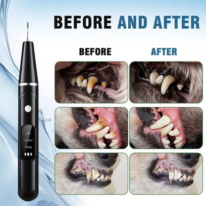 Hundtandstensapparat Ultraljudstandborste Elektrisk Tandskalare för Husdjur